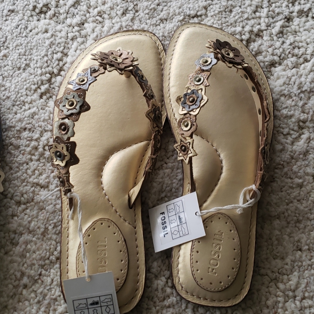 Fossil sandals